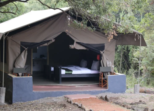 2 Days Maasai Mara National Researve