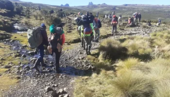 5 DAYS MT KENYA SIRIMON DOWN CHIGORIA ROUTE